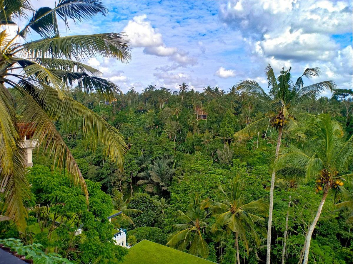 Made Punia'S Jungle Apartman Ubud Kültér fotó